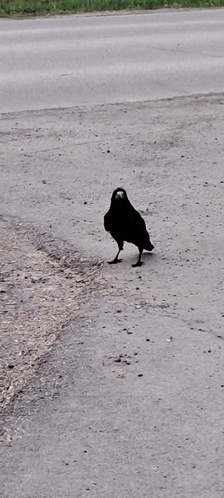 Photograph by Ирина Ахметова