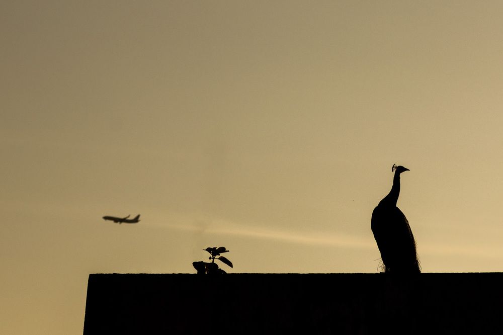 Photograph by Latheef M A