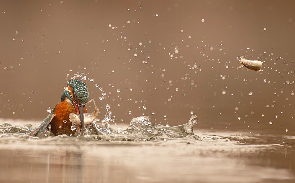 Photograph by Erika Katics