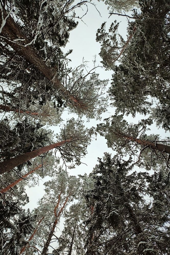 Фотография автора Валерий Жданов