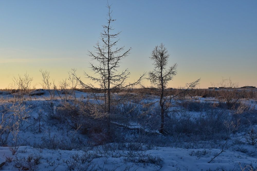 Photograph by Нина Кольман