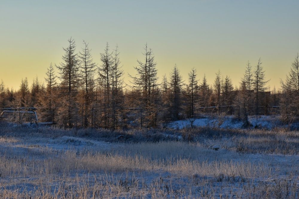 Photograph by Нина Кольман