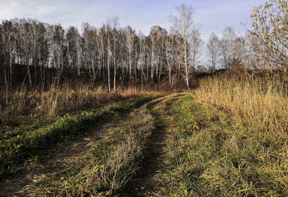 Фотография автора Андрей Данильсон