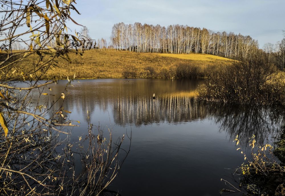 Фотография автора Андрей Данильсон