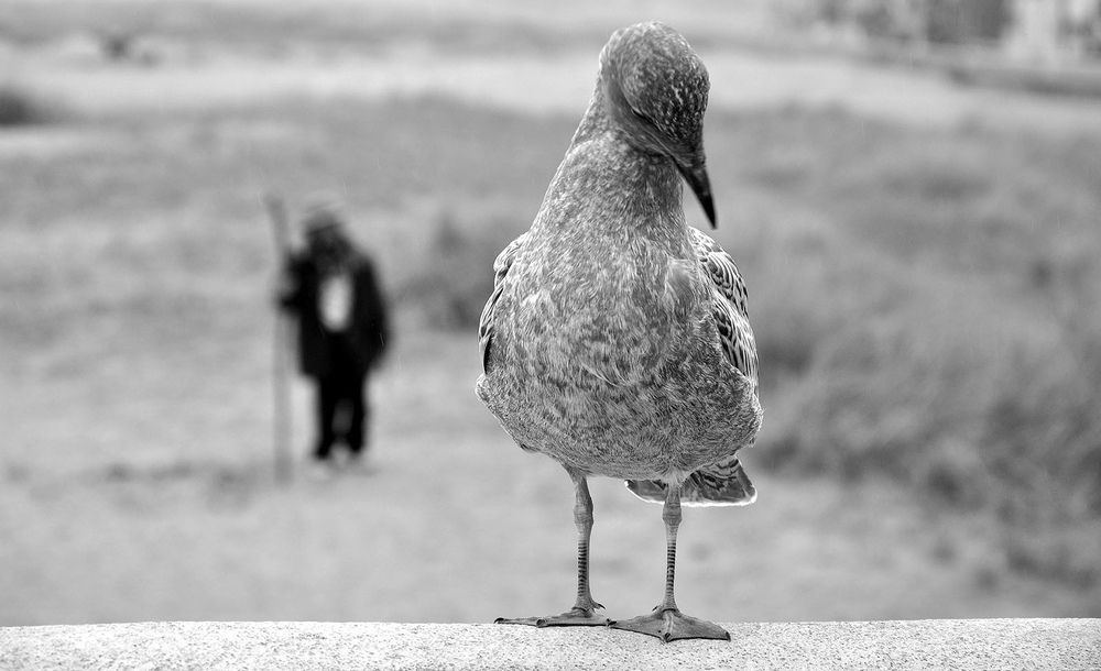 Фотография автора Ковяк Сергей Васильевич