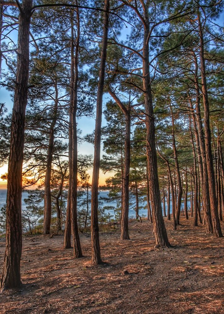 Photograph by Vasilisa the Beautiful