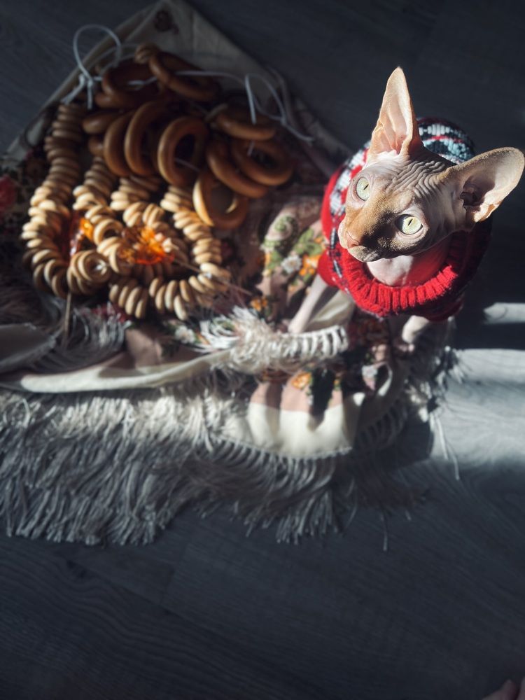 Photograph by Алёна Маринина