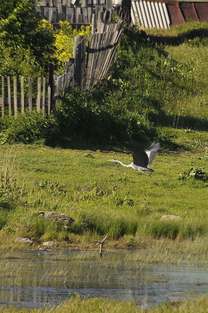 Photograph by Фарит Зиатдинов