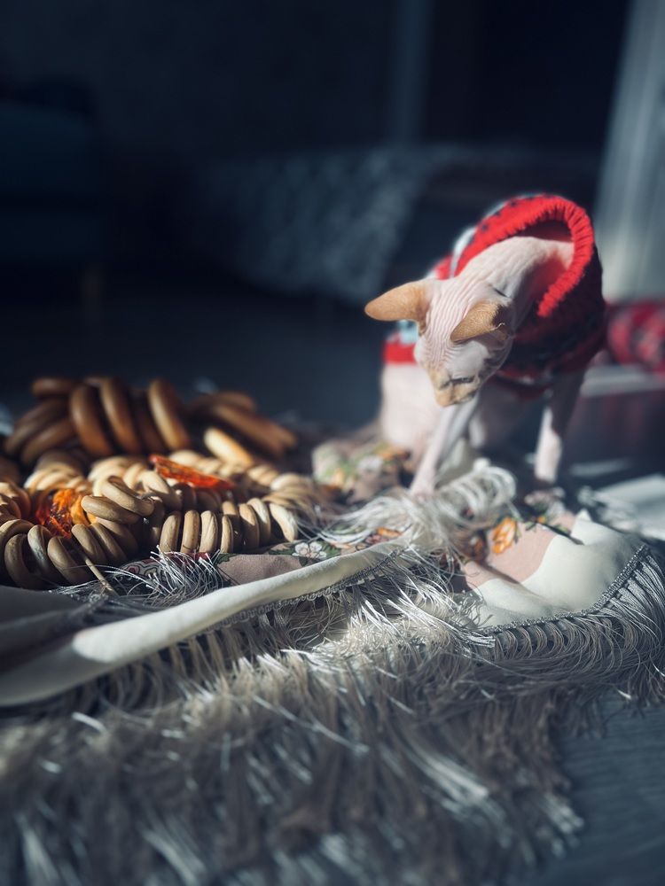 Photograph by Алёна Маринина