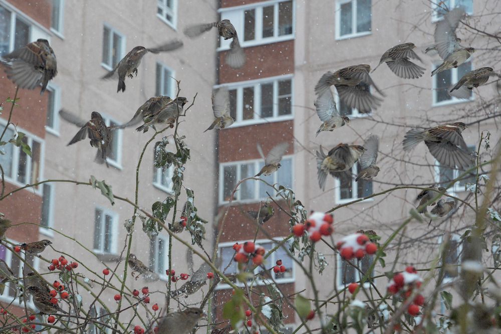 Photograph by Фарит Зиатдинов