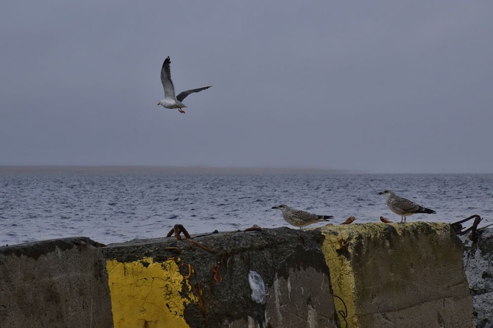 Photograph by Нина Кольман