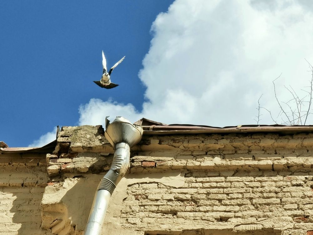 Photograph by Екатерина Воротникова