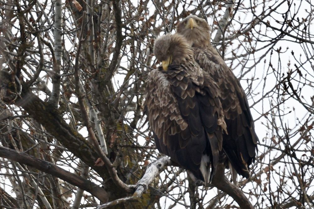 Photograph by Виктор Владимиров