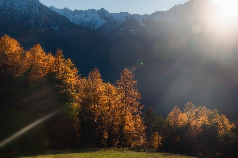 Photograph by Svetlana Rizzo