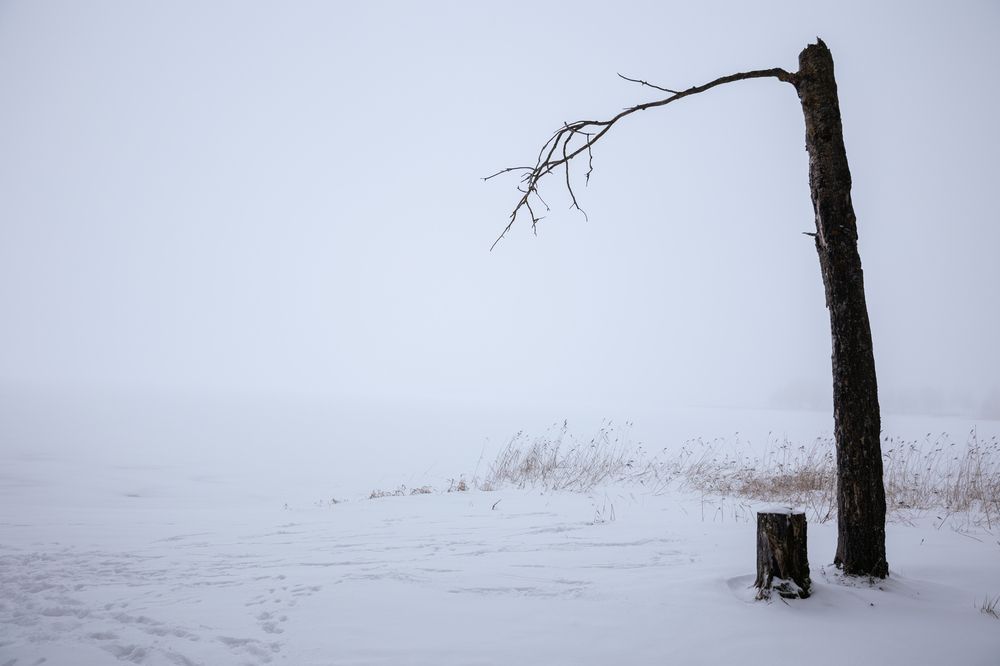 Photograph by Олеся Гаранина