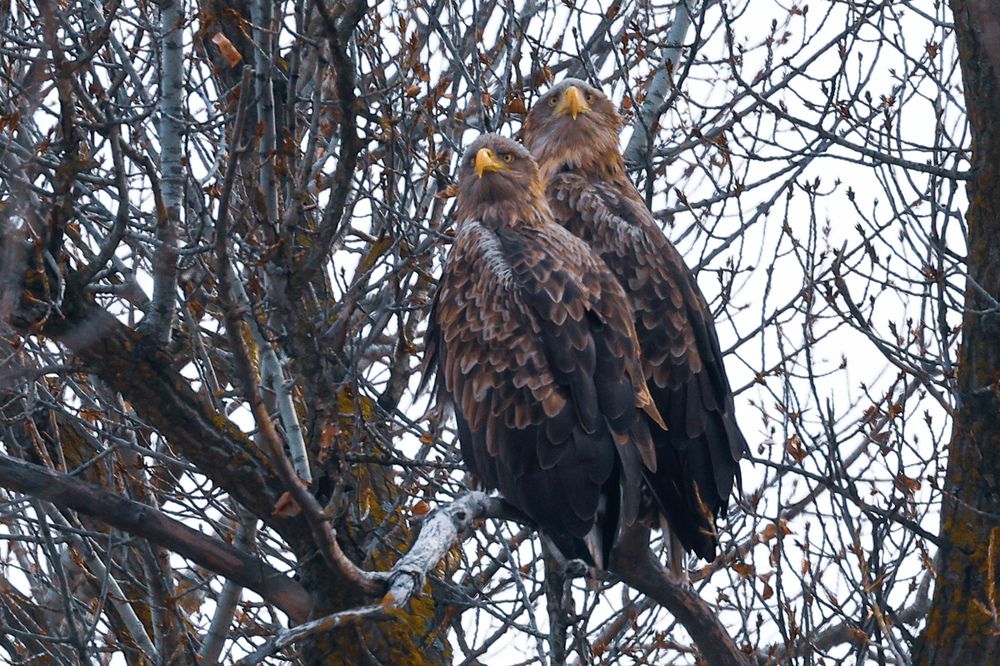 Photograph by Виктор Владимиров