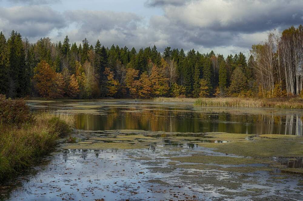 Photograph by Андрей Пучков