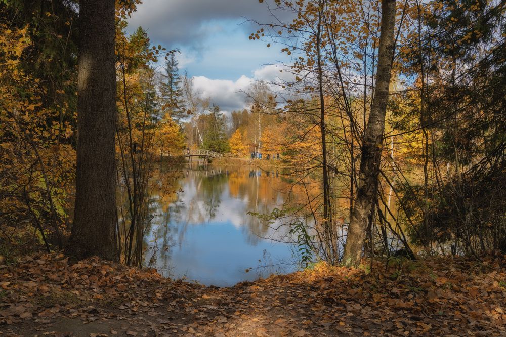 Photograph by Андрей Пучков