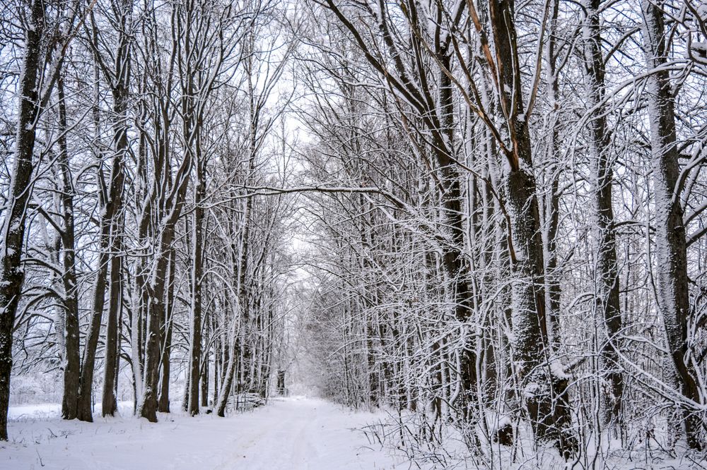 Photograph by Анастасия Гурова