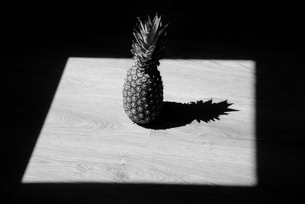 Photograph by Vitaliy