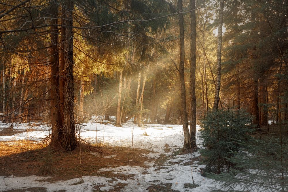 Фотография автора Онучина Юлия