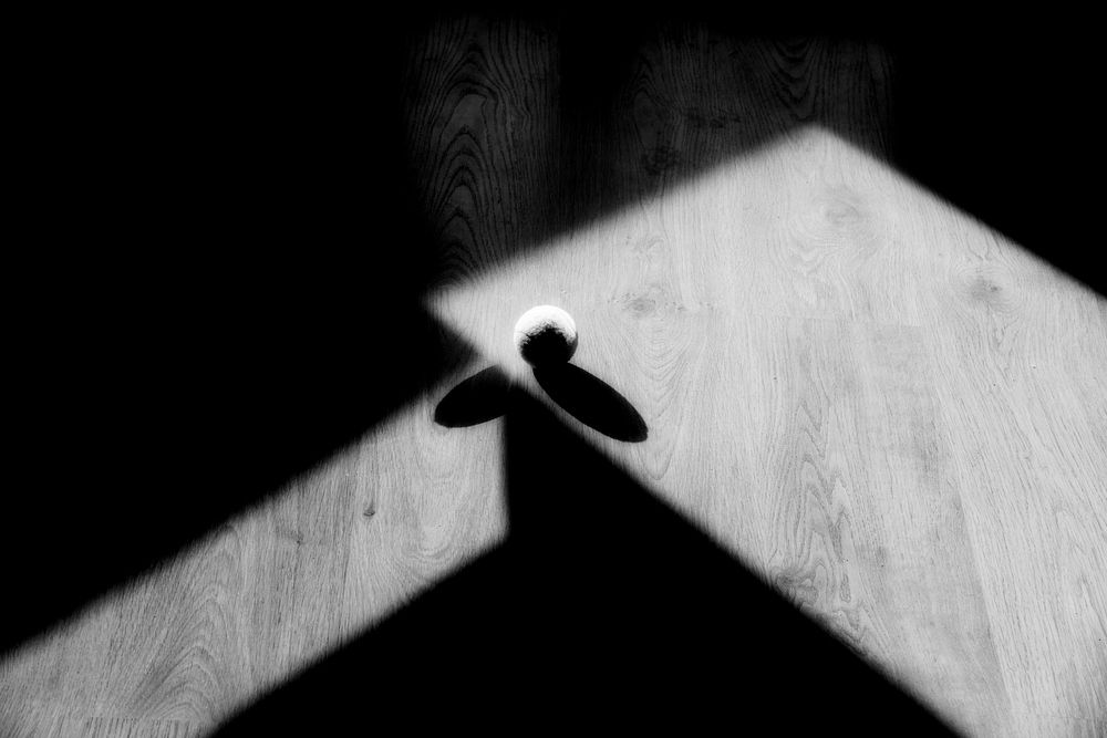 Photograph by Vitaliy