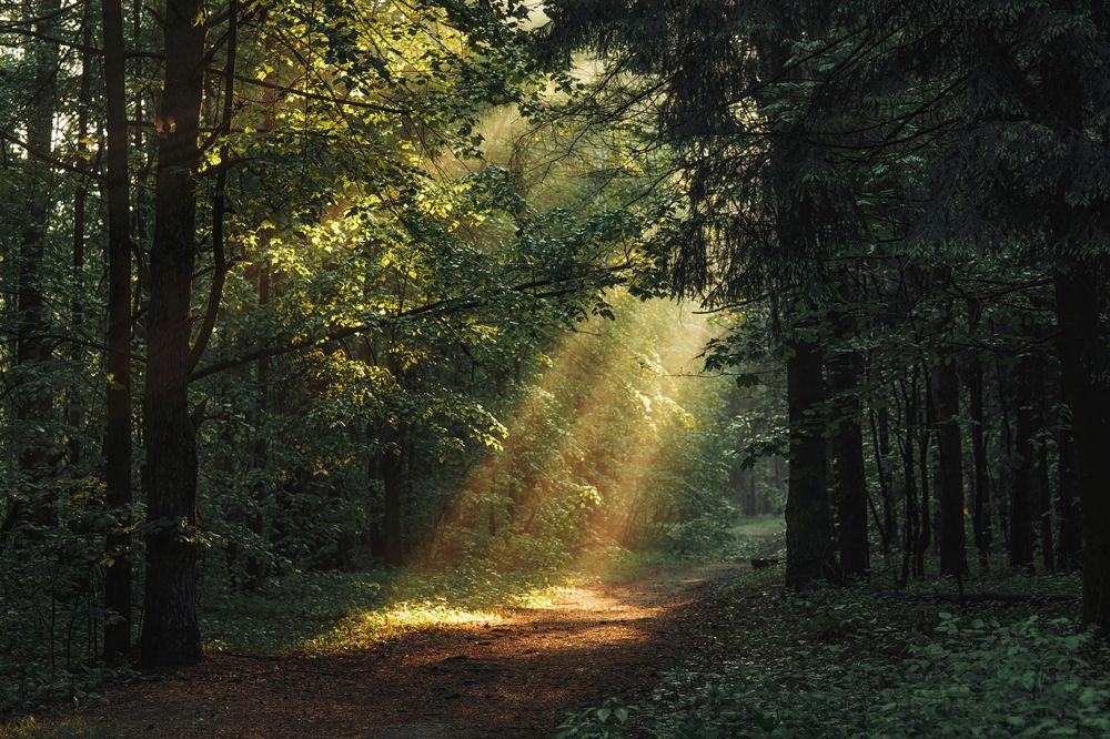 Фотография автора Онучина Юлия