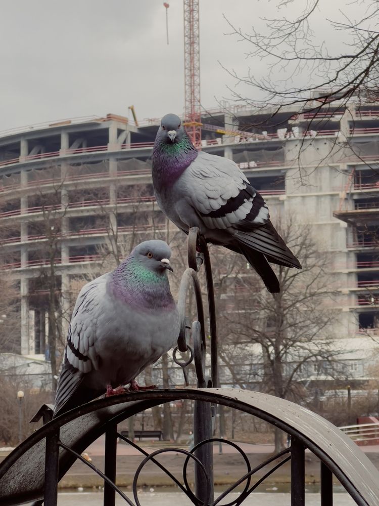 Photograph by Pavlova Maria