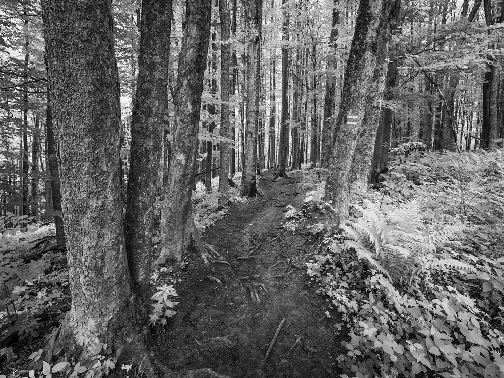 Photograph by Tomasz Dunajski