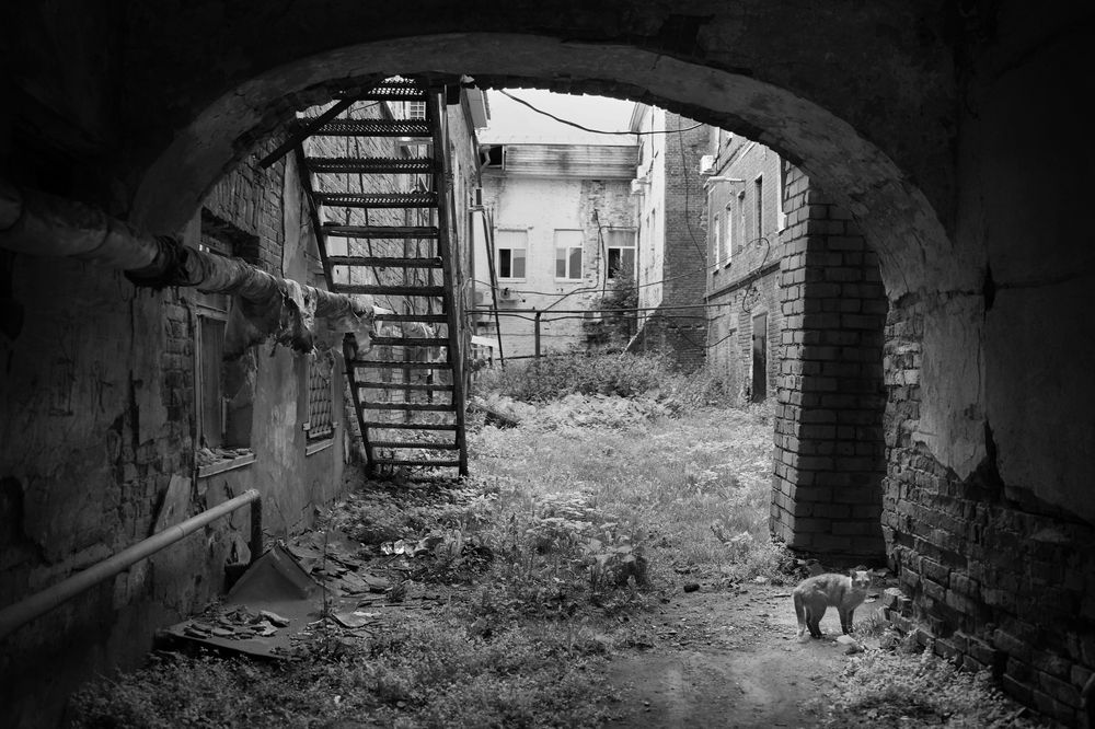 Фотография автора Наталья Белова