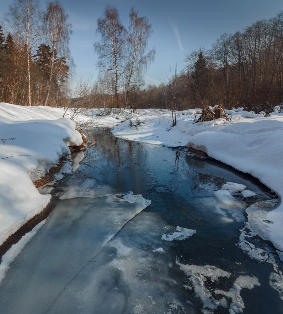 Фотография автора Онучина Юлия