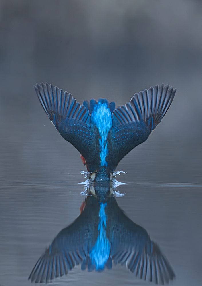 Photograph by Erika Katics