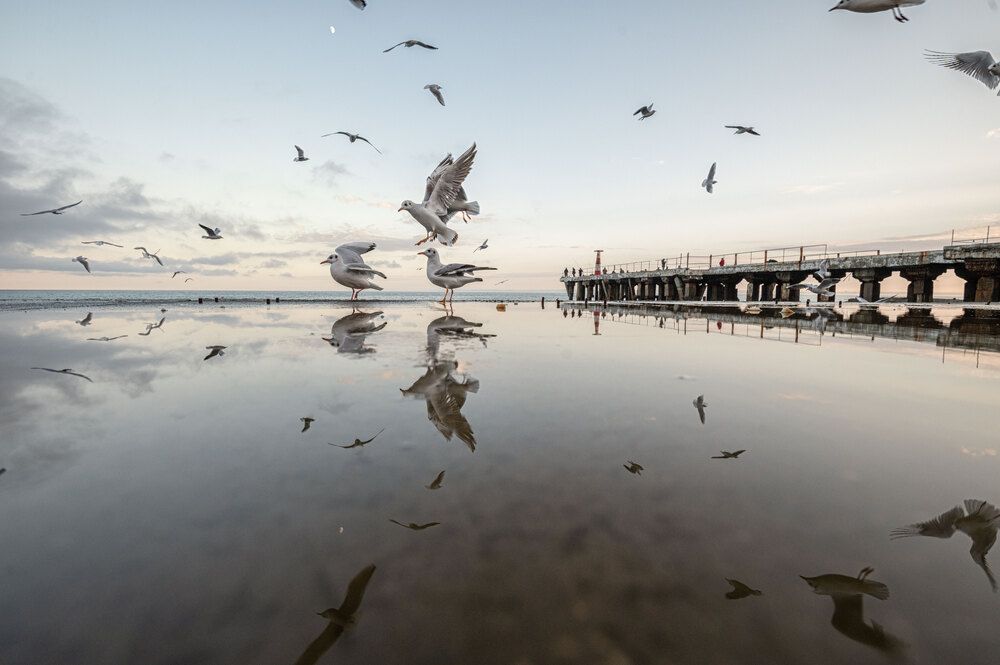 Photograph by Наташа Фирсова