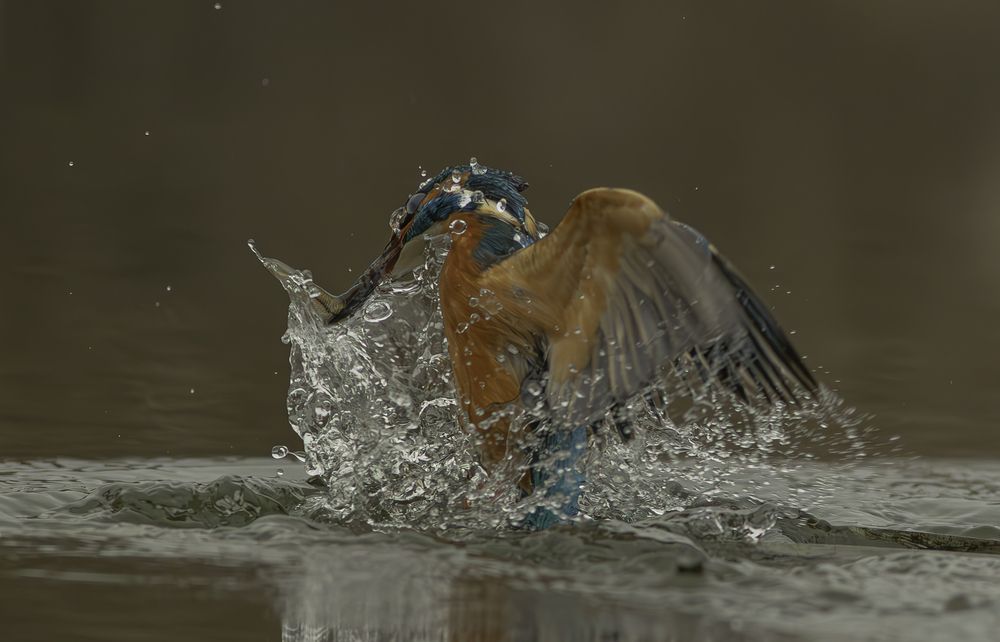 The Azure Hunter: Breaking the Torrent