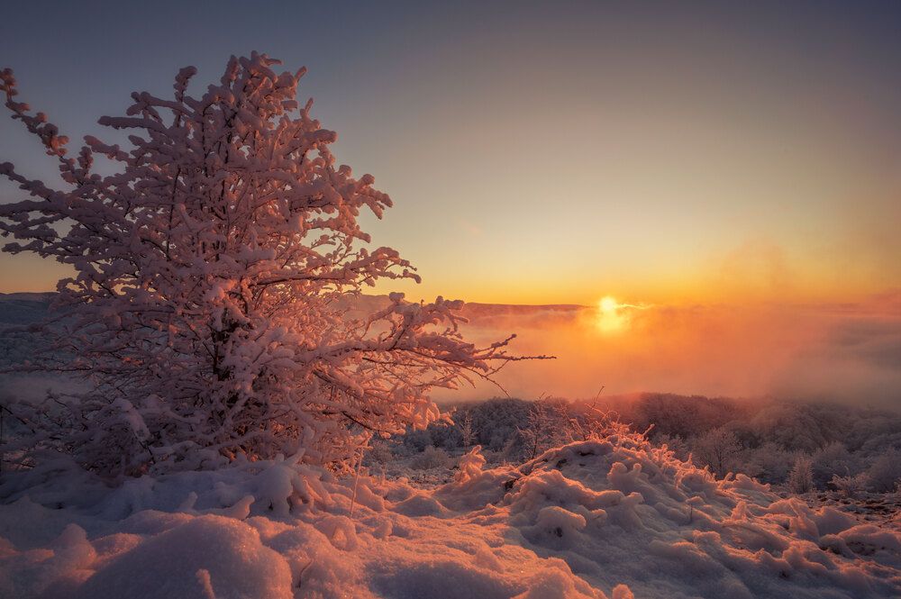 Photograph by Наташа Фирсова