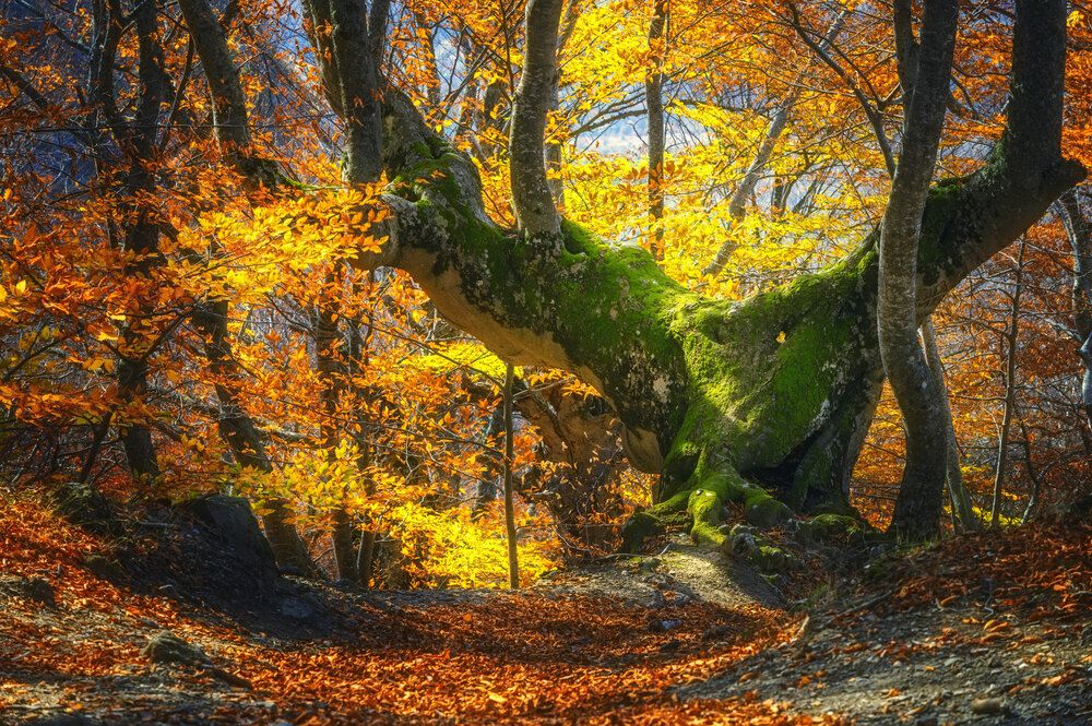 Photograph by Наташа Фирсова