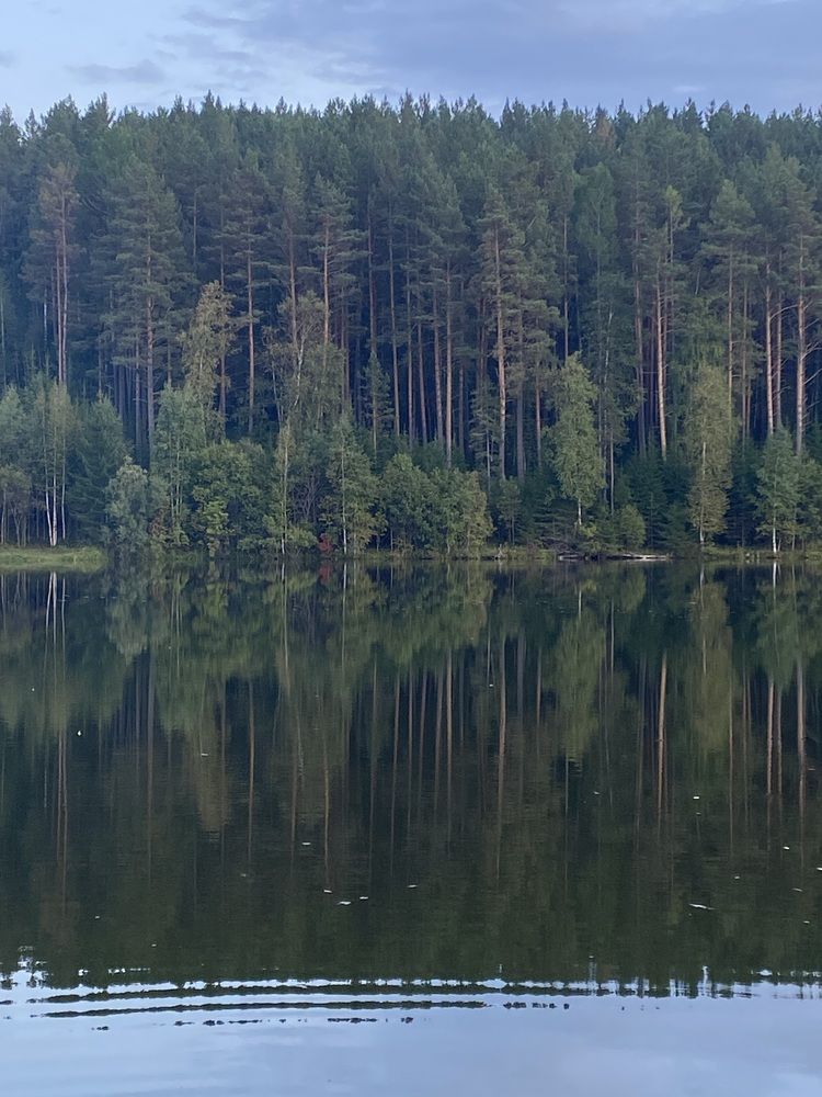 Photograph by Светлана Дмитриева