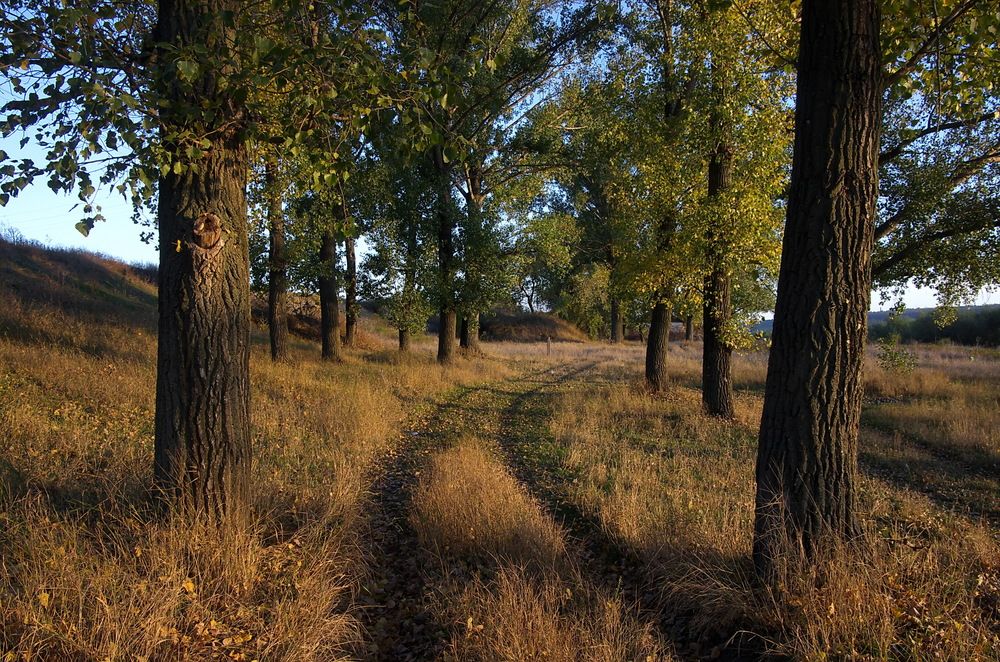 Photograph by Анатолий Святой