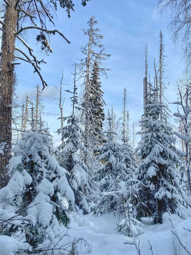 Photograph by Светлана Дмитриева