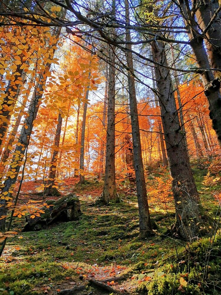 Фотография автора Ian Heard