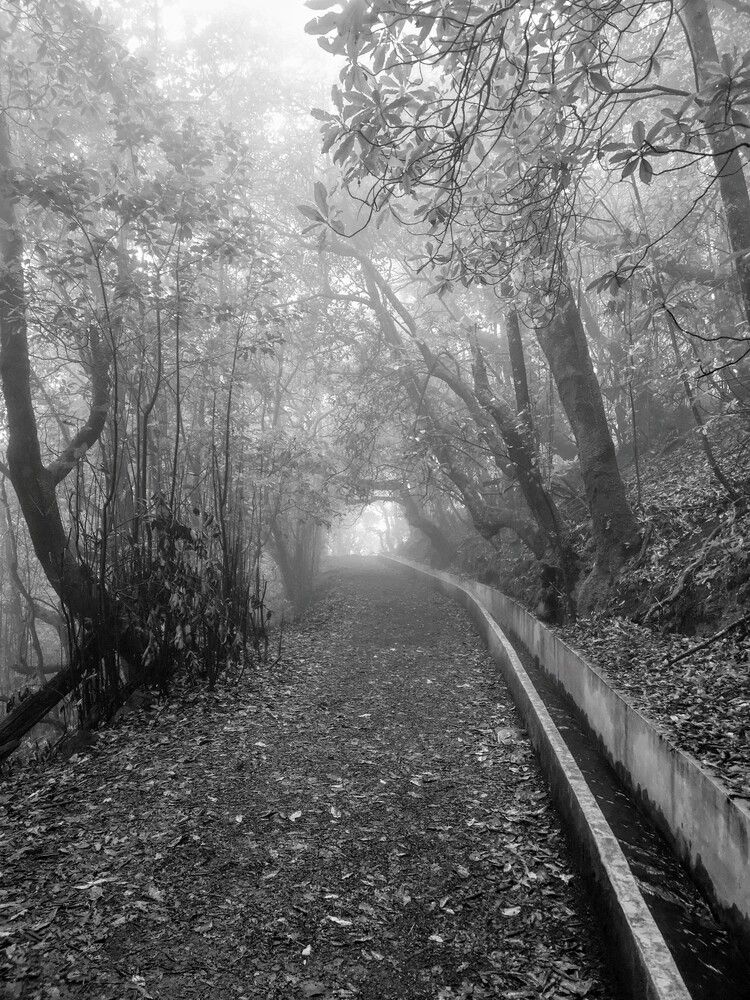 Фотография автора Ian Heard