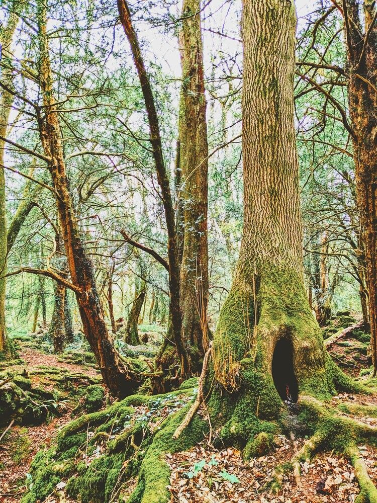 Фотография автора Ian Heard