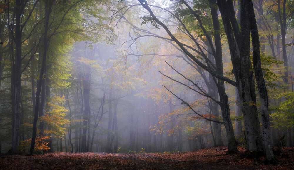 Photograph by Наташа Фирсова