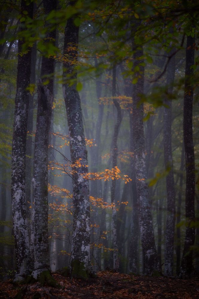 Photograph by Наташа Фирсова