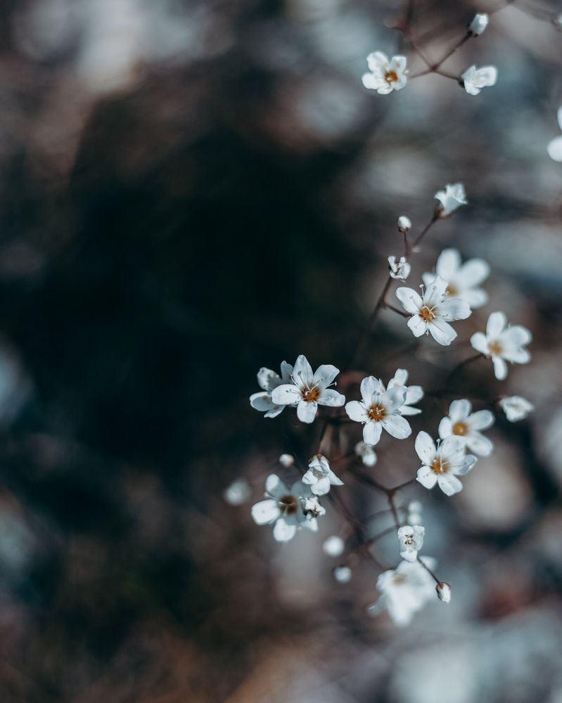 Photograph by Олеся Чернова