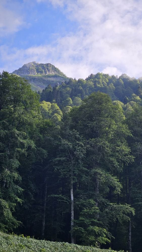 Photograph by Анастасия Свиридова