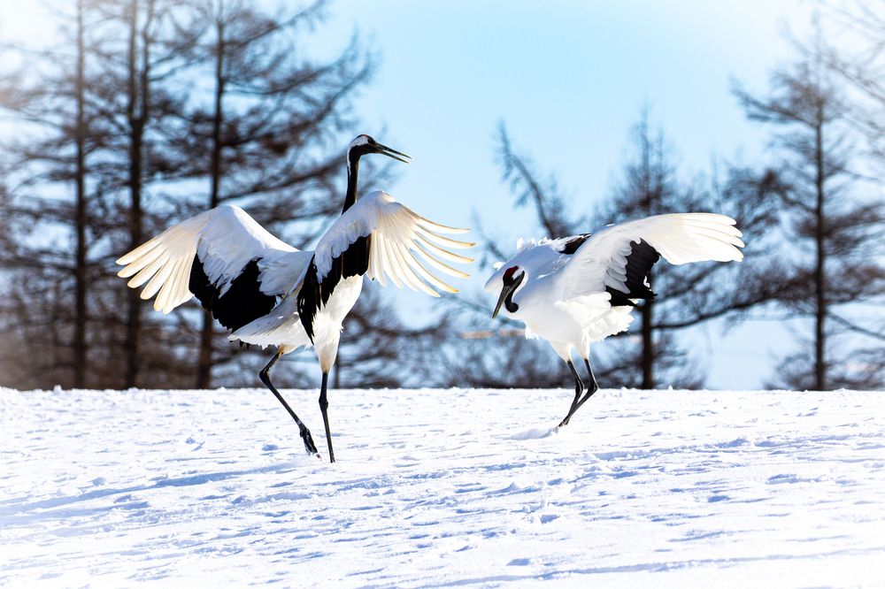 Photograph by Vita Potomova