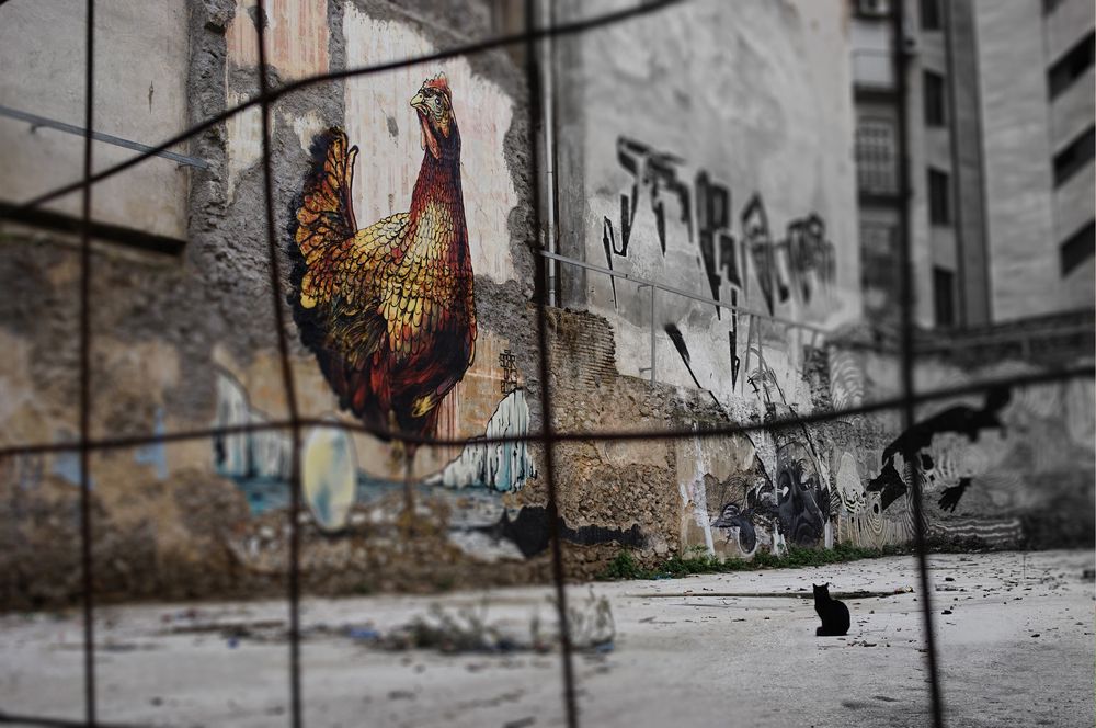 Photograph by Александр Гребенев