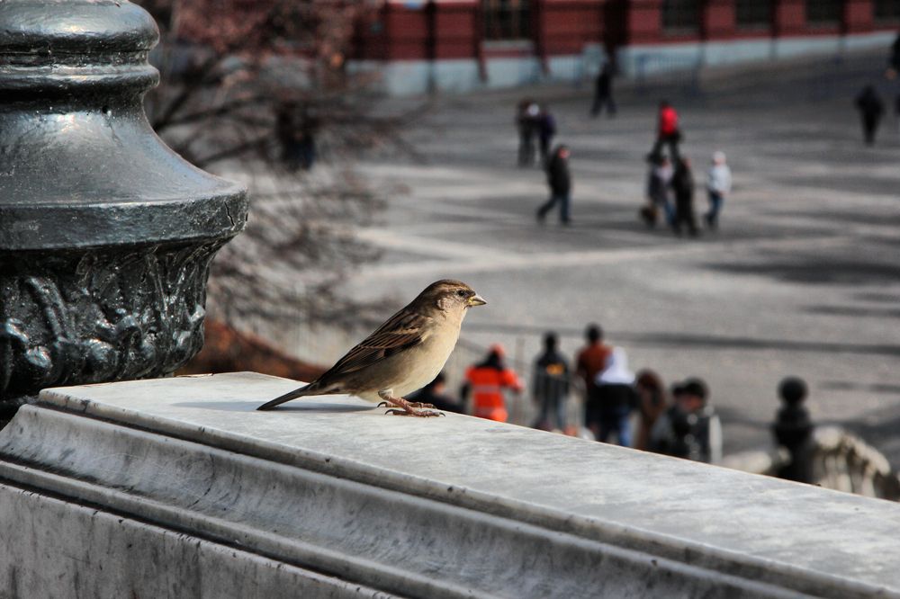 Photograph by Александр Малютин