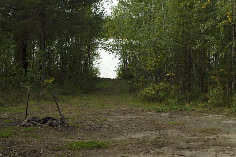 Photograph by Светлана Зотова